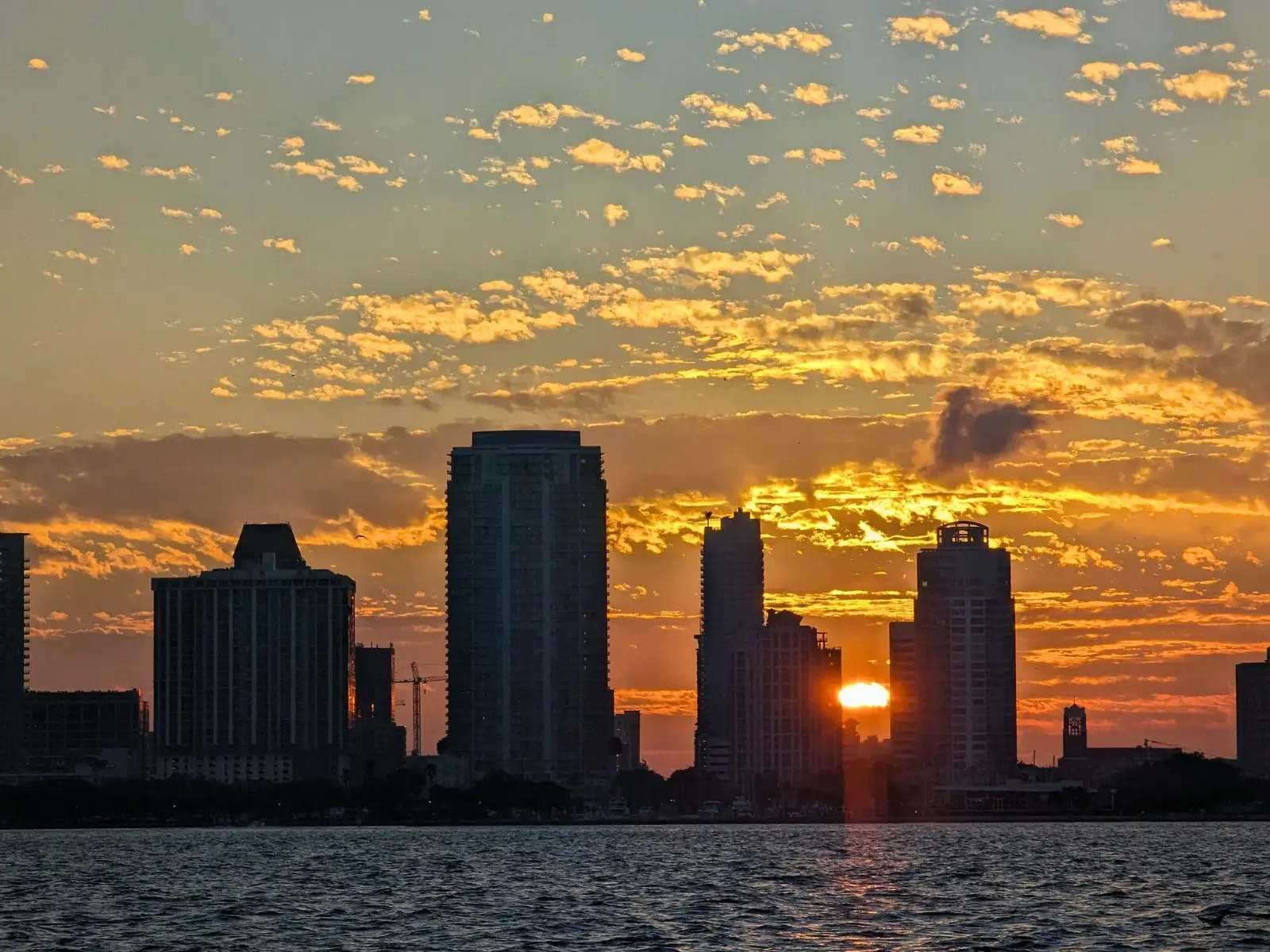 Downtown St. Pete Coastline