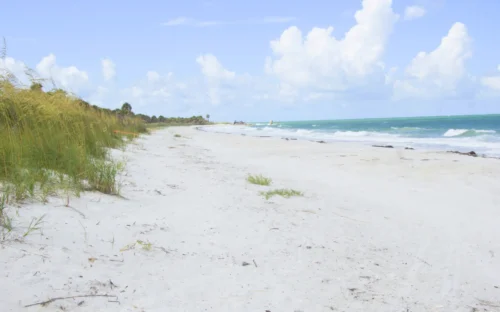 Egmont Key Beach Boat Rental