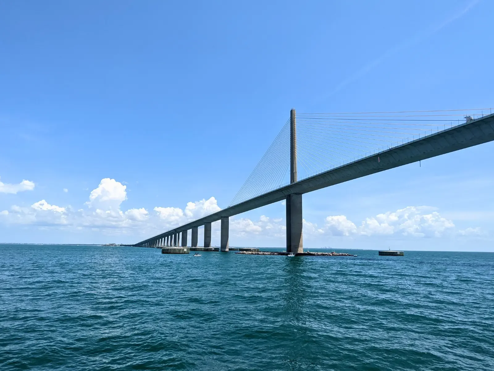 St. Pete Boat Tours Dolphin Cruises