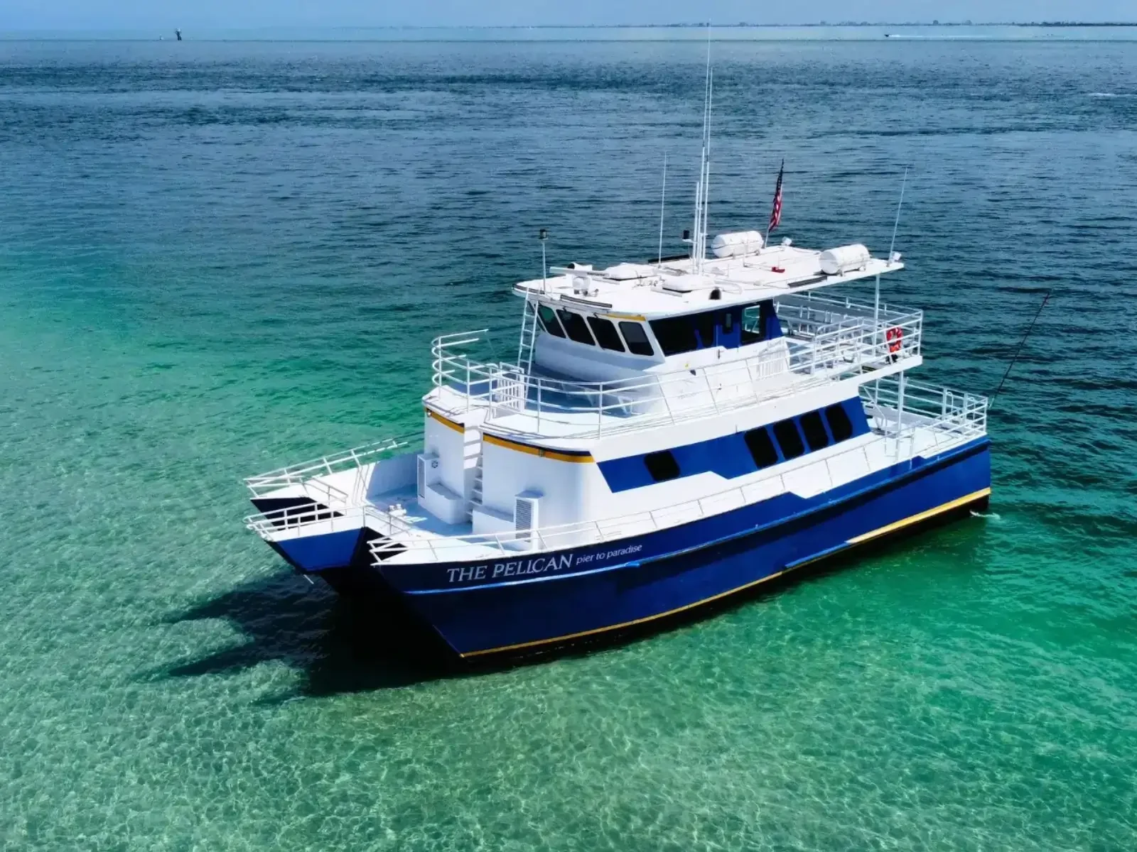 The Pelican Dolphin Sightseeing Group Cruise in St. Pete