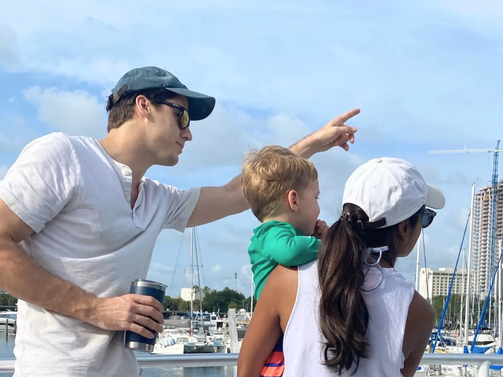Dolphin Tours for Family Vacations in St. Pete