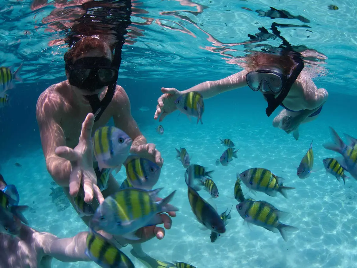 Snorkeling Tours